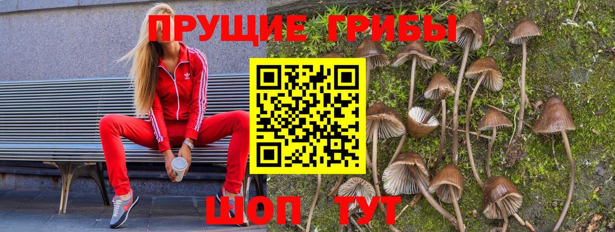Псилоцибиновые грибы ЛСД Брянск